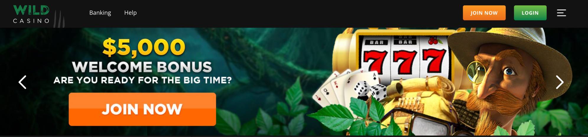 wild card casino