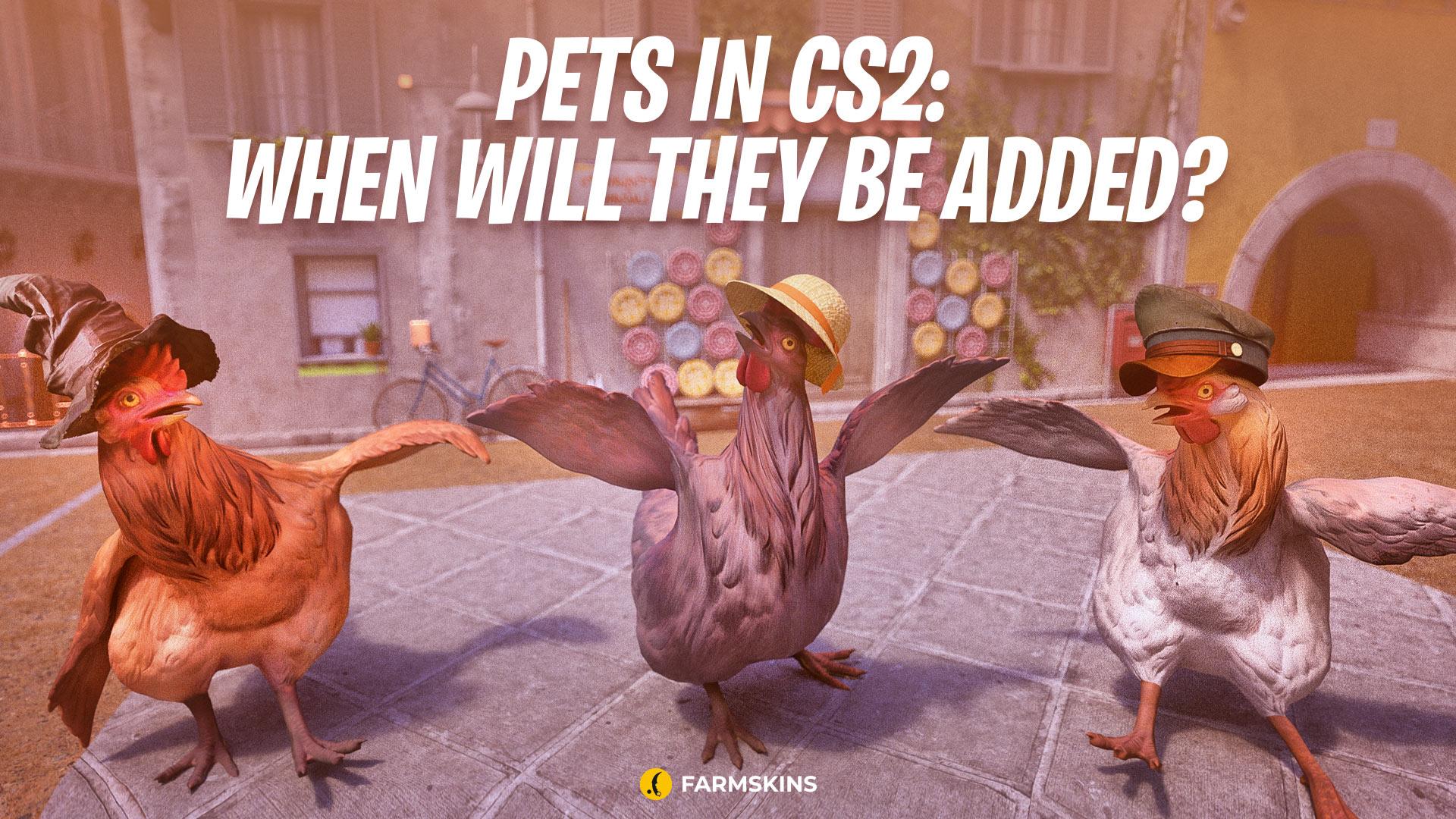 pets in CS2: when will they be added